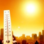 Місто і життя: Синоптики на ближайшую неделю в Житомире прогнозируют «тропическую» жару