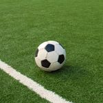 Спорт і Здоров'я: Аматорские футбольные клубы Житомирщины сыграют в Кубке Украины