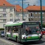В Житомире объявлен еще один тендер на покупку 13-ти троллейбусов