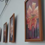 Мистецтво і культура: В Житомире в честь выдающегося селекционера открыли фотовыставку