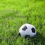 Спорт: В апреле в Житомире стартует футбольный турнир «Кожаный мяч - кубок Coca-Cola»