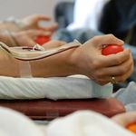 129 жителей Житомирщины сдали кровь для раненых бойцов в зоне АТО