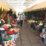 В Житомире обсудили будущее цветочного рынка на улице Небесной Сотни. ФОТО