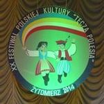 Житомир в двадцатый раз принял Международный фестиваль «Веселка Полісся». ФОТО
