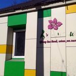 Кримінал: В Житомире ограбили офис благотворительной организации «Я - мама!» - Боровская