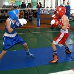Спортсмен из Житомирщины стал чемпионом Украины по боксу