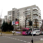 Внимание: Ходить по ул. Леси Украинки в Житомире небезопасно! ФОТО