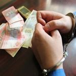Кримінал: СБУ на Житомирщине выявила факт причинения убытков государству на 2,6 млн гривен