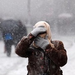В Житомире выпал первый снег
