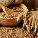 Гроші і Економіка: В этом году аграрии Житомирской области намолотили почти 2 млн тонн зерна