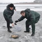 Кримінал: На Житомирщине незаконно рыбачат, растягивая сети подо льдом. ФОТО