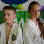 Спорт і Здоров'я: В Житомире провели спортивный праздник для детских клубов рукопашного боя. ФОТО