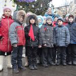 Місто і життя: В центре Житомира открыли новогоднюю елку, наряженную эко-игрушками. ФОТО