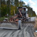 Новини України: В Житомирской области построят более 100 км лесных дорог