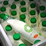 На Житомирщине работает первый в Украине завод по производству органической «молочки». ФОТО