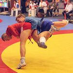 Спорт і Здоров'я: Житомирские спортсмены завоевали 12 медалей на чемпионате Украины по самбо