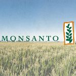 Гроші і Економіка: Компания Monsanto инвестировала в строительство завода в Житомире 250 млн долларов