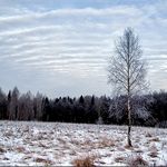 Семье Героя Небесной сотни выделят 2 га земли в Житомирской области