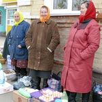 Депутаты горсовета дали 10 дней на ликвидацию стихийной торговли в Житомире