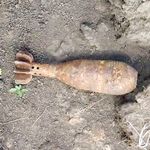 На Житомирщине «охотник за металлом» обнаружил 20 боеприпасов времен Второй мировой
