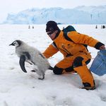 Наука і освіта: Специалисты из Житомира вошли в состав украинской антарктической экспедиции