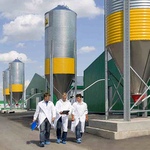 Гроші і Економіка: В Житомирской области строят самый современный в Украине семенной завод