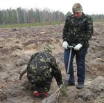 Новини України: Как в Житомирской области лес сажают и вырубают. ФОТО. ВИДЕО