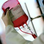 Люди і Суспільство: Житомирский центр крови срочно ищет доноров