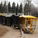 Антисанитария в Житомире: мусор летает по дворам и детским площадкам. ВИДЕО