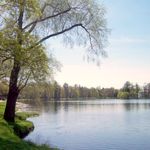 Новини України: В Житомирской области вернули в госсобственность пруд площадью 50 гектаров