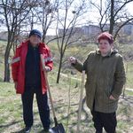 В Житомире для укрепления склонов яра на Маликова высадили 250 деревьев