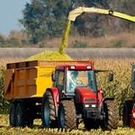 Сельхозобщество в Житомирской области прикарманило более 12 млн грн госсредств