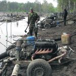 Новини України: Черные копатели янтаря повредили более 170 гектаров леса на Житомирщине