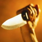 В Житомирской области мужчину, нанесшего женщине 23 удара ножом, посадили на 10 лет