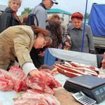 Фермеры не согласны на бесплатные торговые места на рынках Житомира: хотят торговать на улице