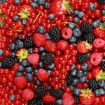 11 июля на Житомирщине пройдет ягодный фестиваль «Брусвяна - Украина»