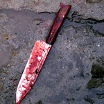 В Житомире племянник убил своего дядю ударом ножа в грудь