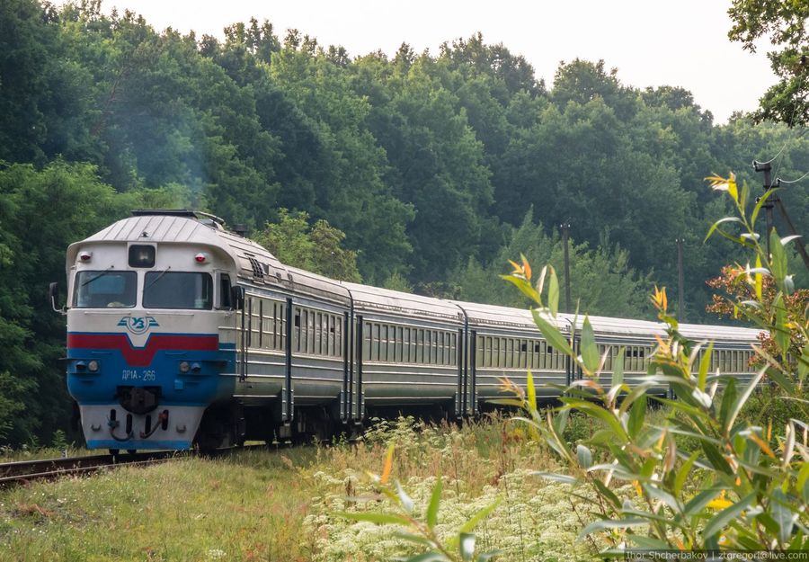 Новини України: «Укрзалізниця» в Житомирской области хочет заменить «невыгодные» поезда автобусами