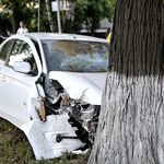 Надзвичайні події: В Житомире Citroen врезался в дерево, пытаясь избежать столкновения с другим авто. ФОТО