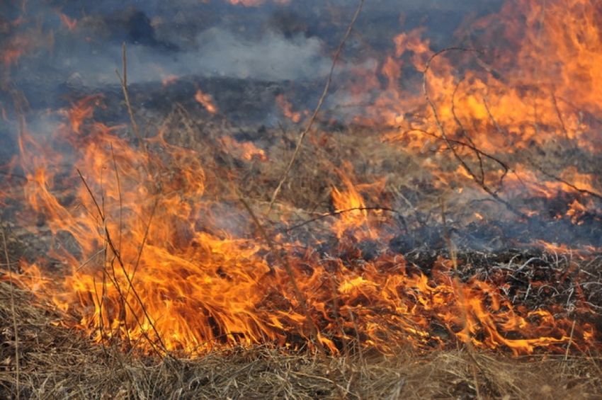 За сутки спасатели ликвидировали 11 пожаров в Житомирской области