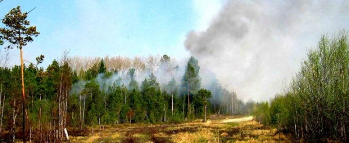 Новини України: В лесах Житомирской области объявлен наивысший уровень пожарной опасности