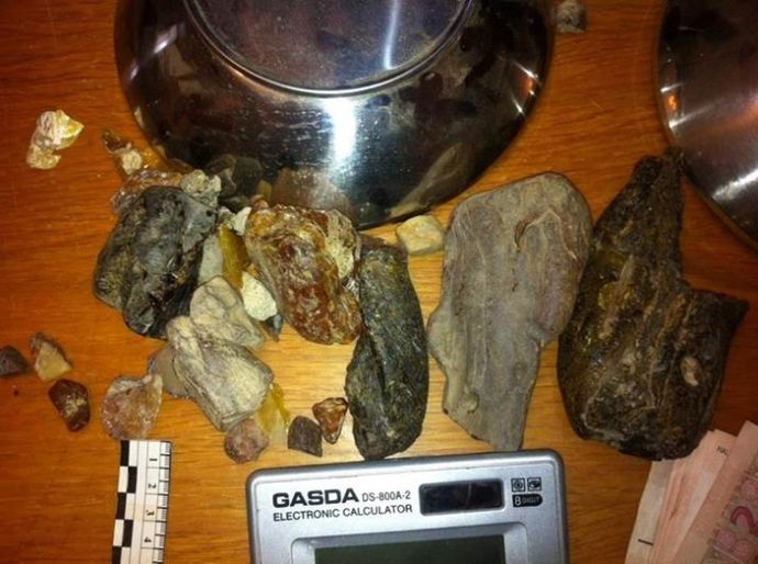 Кримінал: На севере Житомирской области СБУ изъяла почти 10 килограммов янтаря. ФОТО
