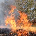 50 человек и 11 единиц техники трое суток тушили пожар на полигоне под Житомиром