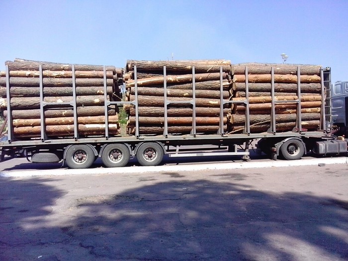 Кримінал: Из госпредприятия на Житомирщине незаконно вывозили и продавали лесоматериалы