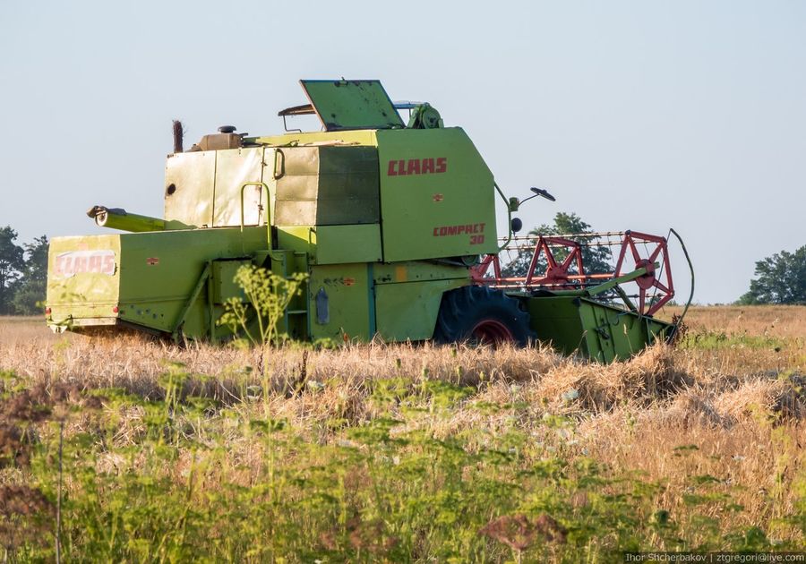 Новини України: Через неделю на Житомирщине планируют завершить сбор зерновых и зернобобовых культур
