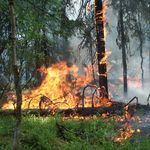 Житомирские спасатели и лесники напомнили отдыхающим об опасности лесных пожаров