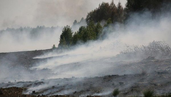 Надзвичайні події: В 100 километрах от Житомира горит 4 га торфа