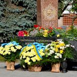 В Житомире почтили память партизан, возложив цветы к памятнику у 17-й школы. ФОТО