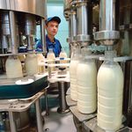 Молокозавод на Житомирщине экспортирует продукцию в страны Европы и Азии. ФОТО