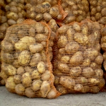 Люди і Суспільство: Житомирская епархия передала переселенцам с Востока 6 тонн картофеля. ВИДЕО